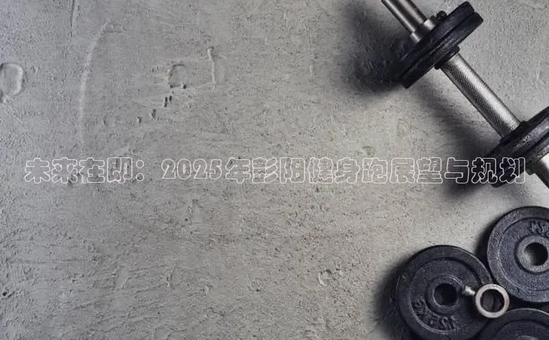 qy球友会体育官网下载