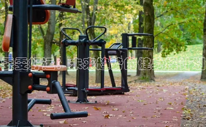 QY球友会体育网址